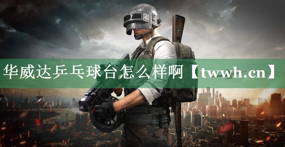 华威达乒乓球台怎么样啊