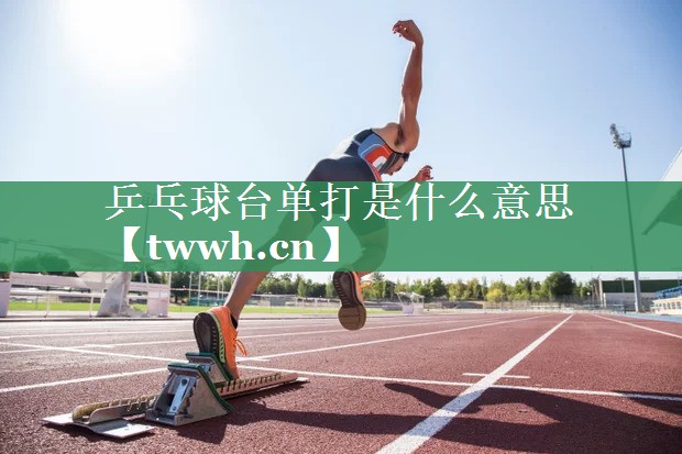 乒乓球台单打是什么意思