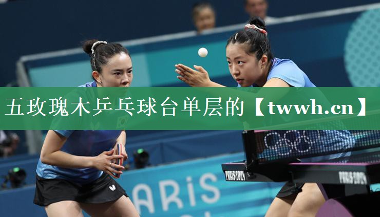 五玫瑰木乒乓球台单层的