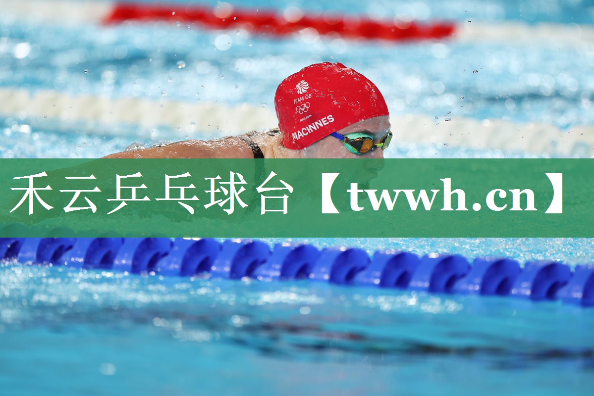 禾云乒乓球台