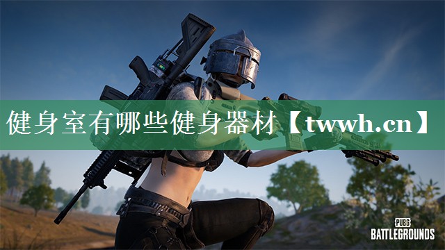 健身室有哪些健身器材