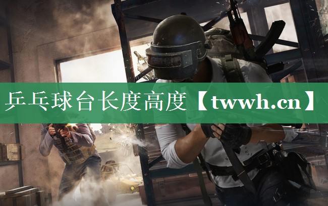 乒乓球台长度高度