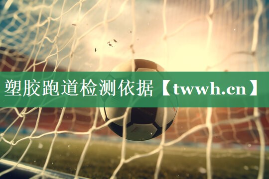 塑胶跑道检测依据