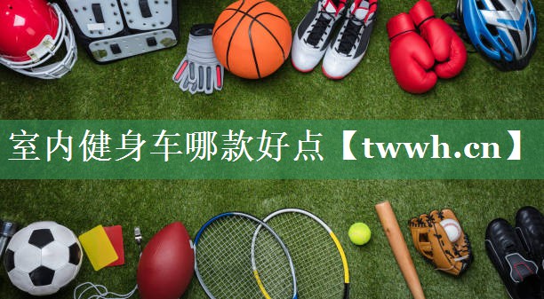室内健身车哪款好点
