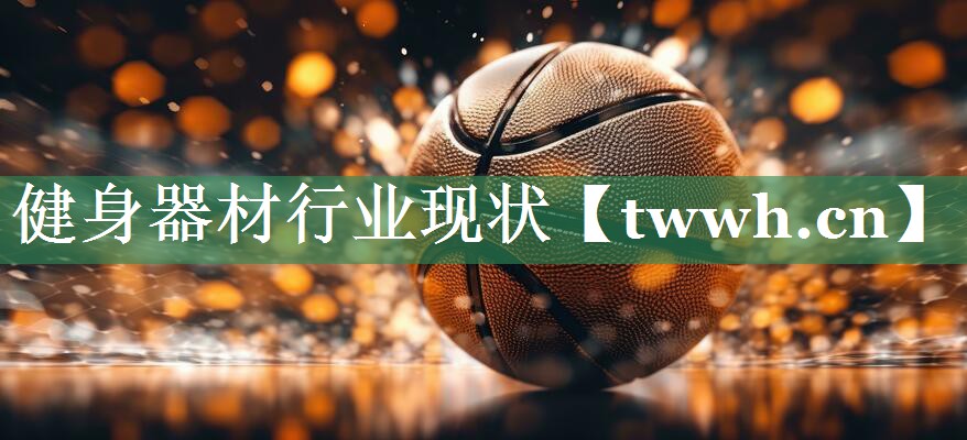 健身器材行业现状