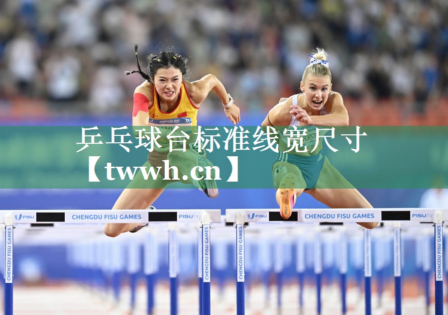 乒乓球台标准线宽尺寸