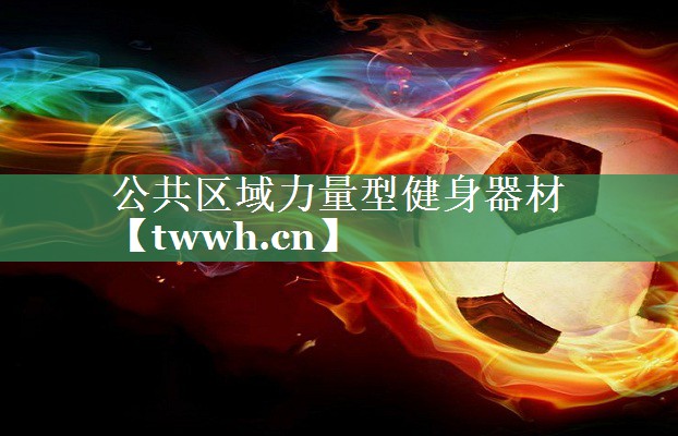 公共区域力量型健身器材