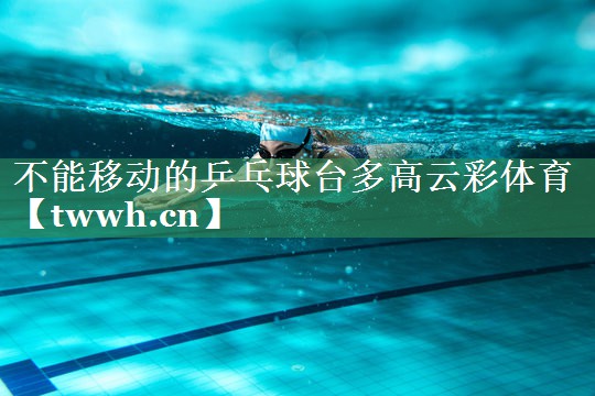 不能移动的乒乓球台多高云彩体育