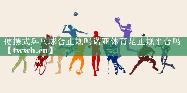 便携式乒乓球台正规吗诺亚体育是正规平台吗