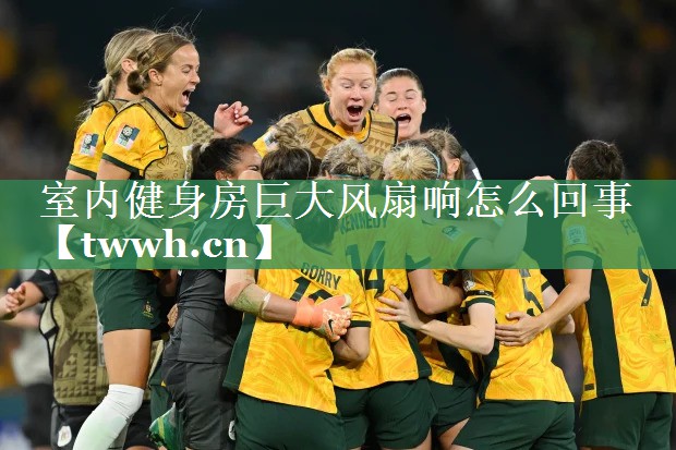 室内健身房巨大风扇响怎么回事