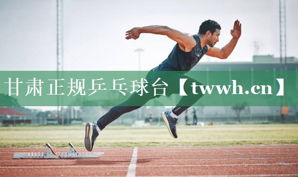 甘肃正规乒乓球台