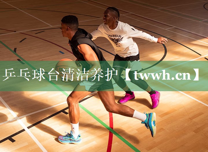 乒乓球台清洁养护