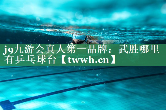 j9九游会真人第一品牌：武胜哪里有乒乓球台