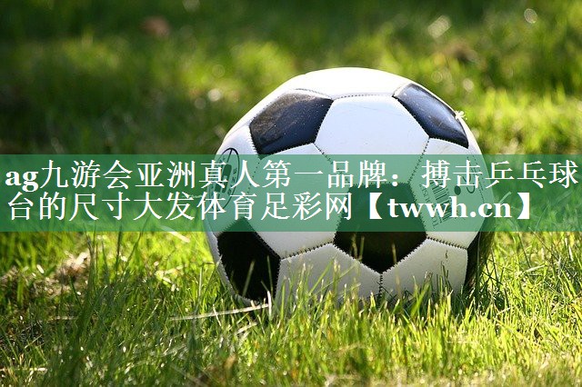 ag九游会亚洲真人第一品牌：搏击乒乓球台的尺寸大发体育足彩网