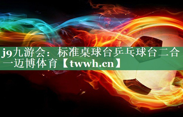 j9九游会：标准桌球台乒乓球台二合一迈博体育