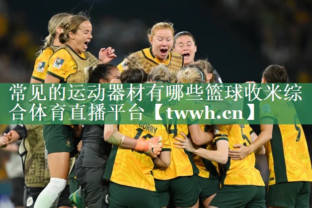 常见的运动器材有哪些篮球收米综合体育直播平台