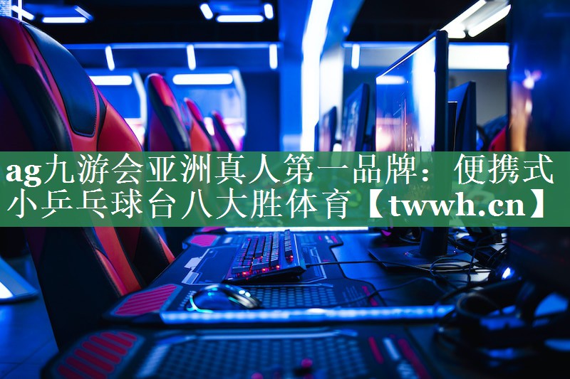 ag九游会亚洲真人第一品牌：便携式小乒乓球台八大胜体育
