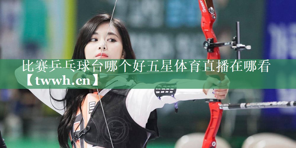 比赛乒乓球台哪个好五星体育直播在哪看