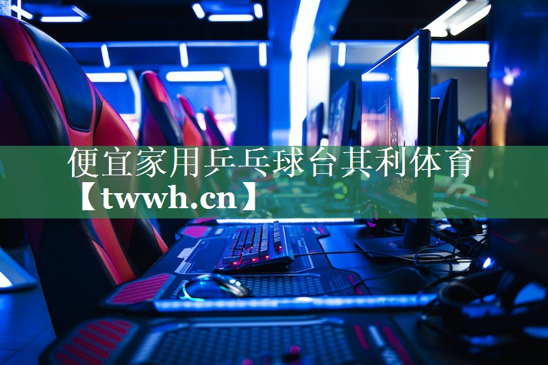 便宜家用乒乓球台其利体育