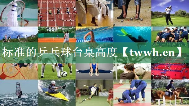 标准的乒乓球台桌高度 标准的乒乓球台桌高度