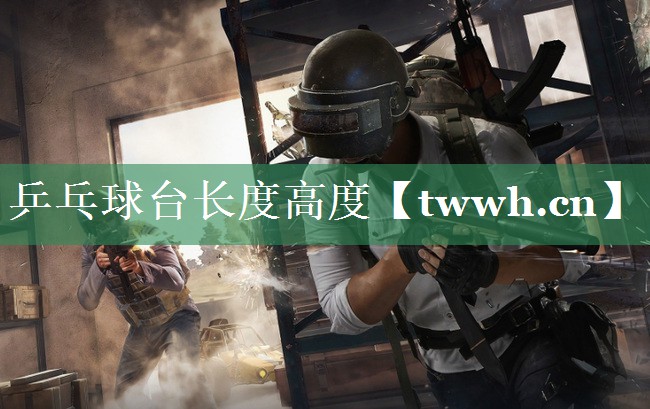 乒乓球台长度高度