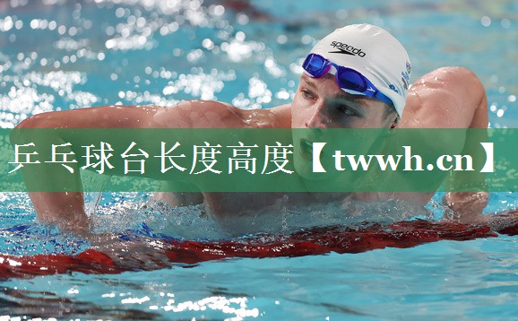 乒乓球台长度高度