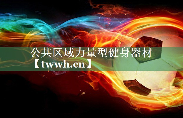 公共区域力量型健身器材 公共区域力量型健身器材