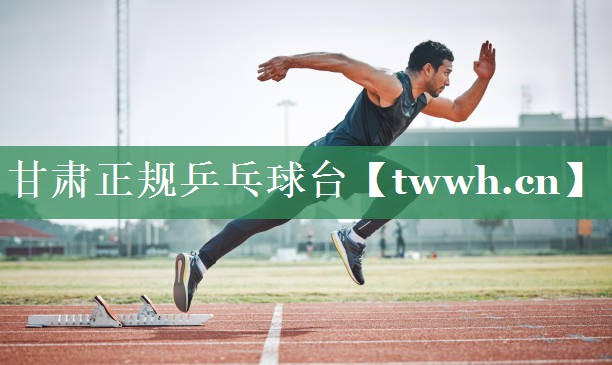 甘肃正规乒乓球台 甘肃正规乒乓球台