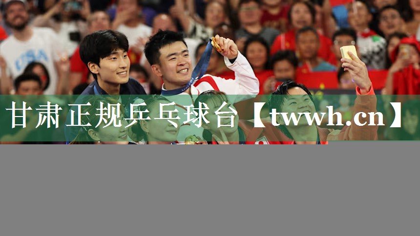 甘肃正规乒乓球台 甘肃正规乒乓球台