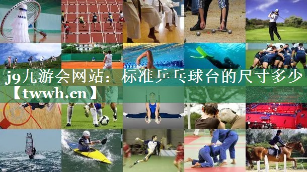 标准乒乓球台的尺寸多少 标准乒乓球台的尺寸多少