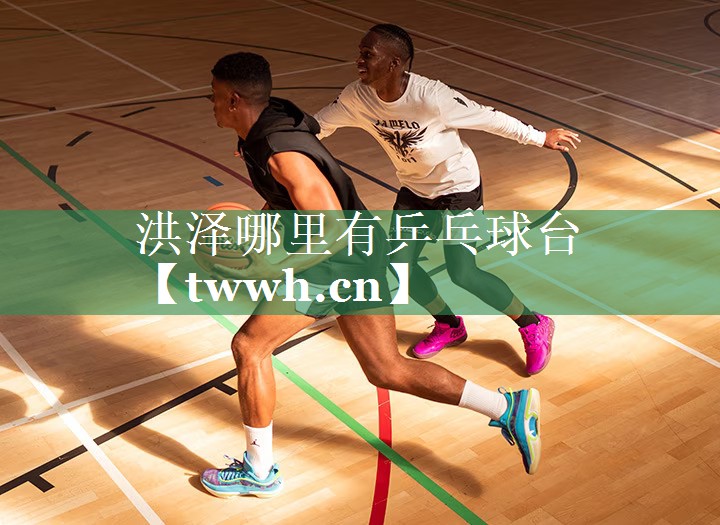 洪泽哪里有乒乓球台 洪泽哪里有乒乓球台