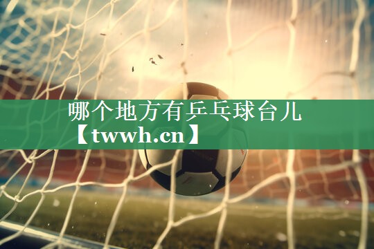 哪个地方有乒乓球台儿 哪个地方有乒乓球台儿