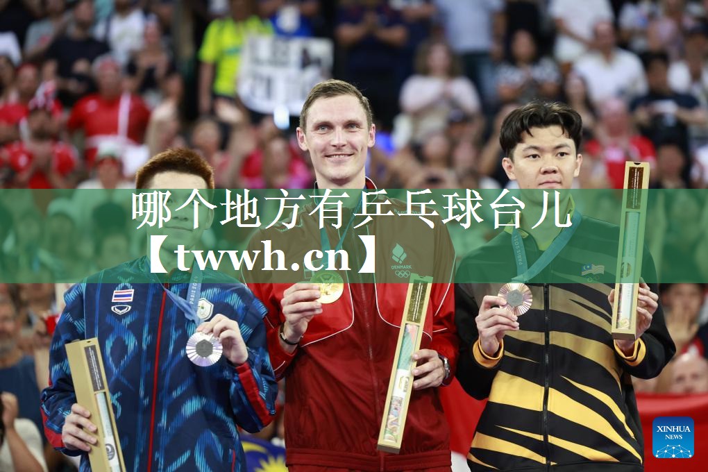 哪个地方有乒乓球台儿 哪个地方有乒乓球台儿