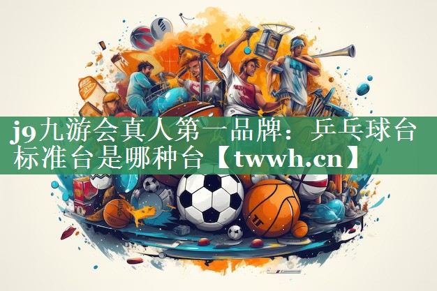 乒乓球台标准台是哪种台