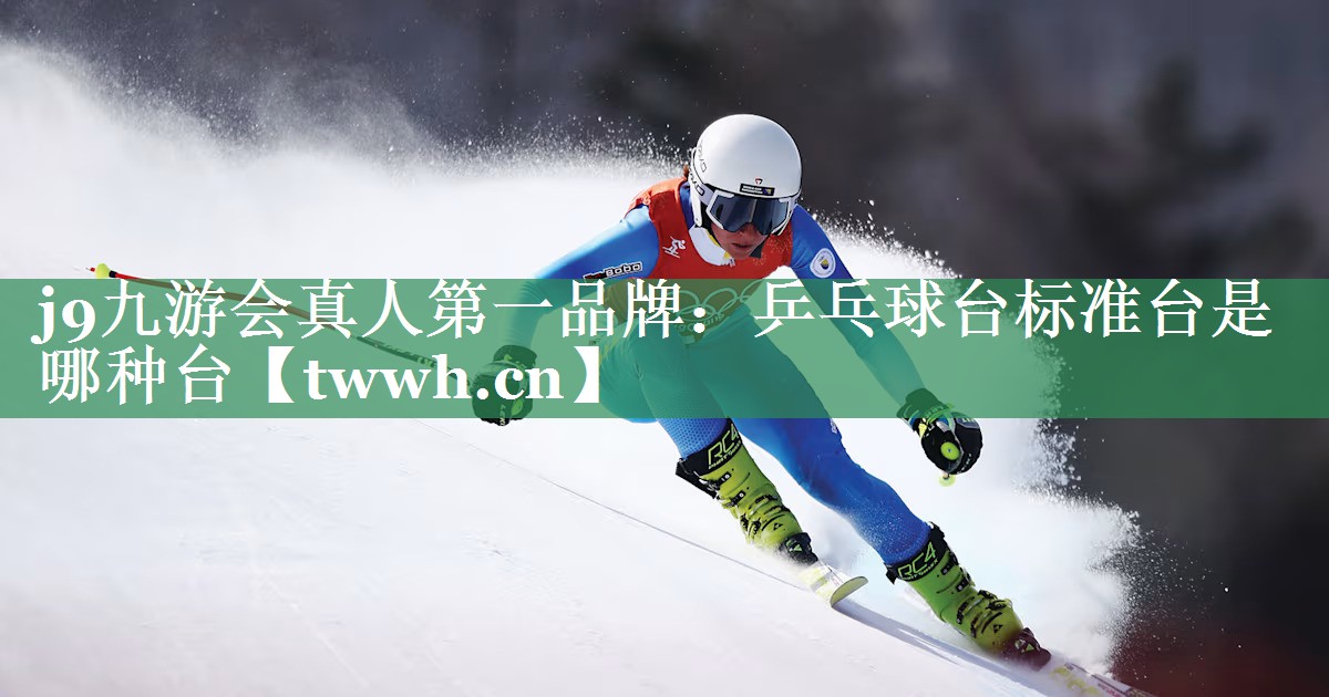 乒乓球台标准台是哪种台