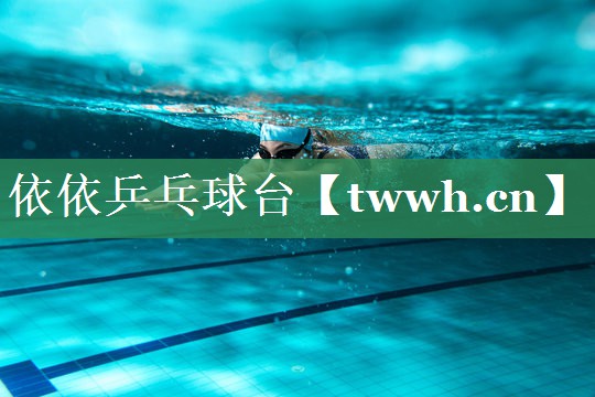 依依乒乓球台